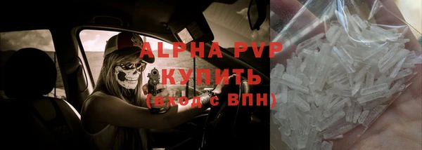 стаф Алексин