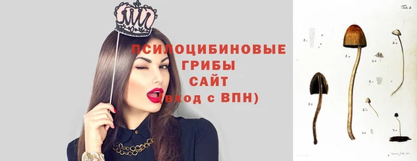 мескалин Абинск