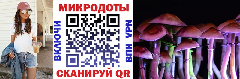 где купить наркоту  Омск  Галлюциногенные грибы Psilocybine cubensis 