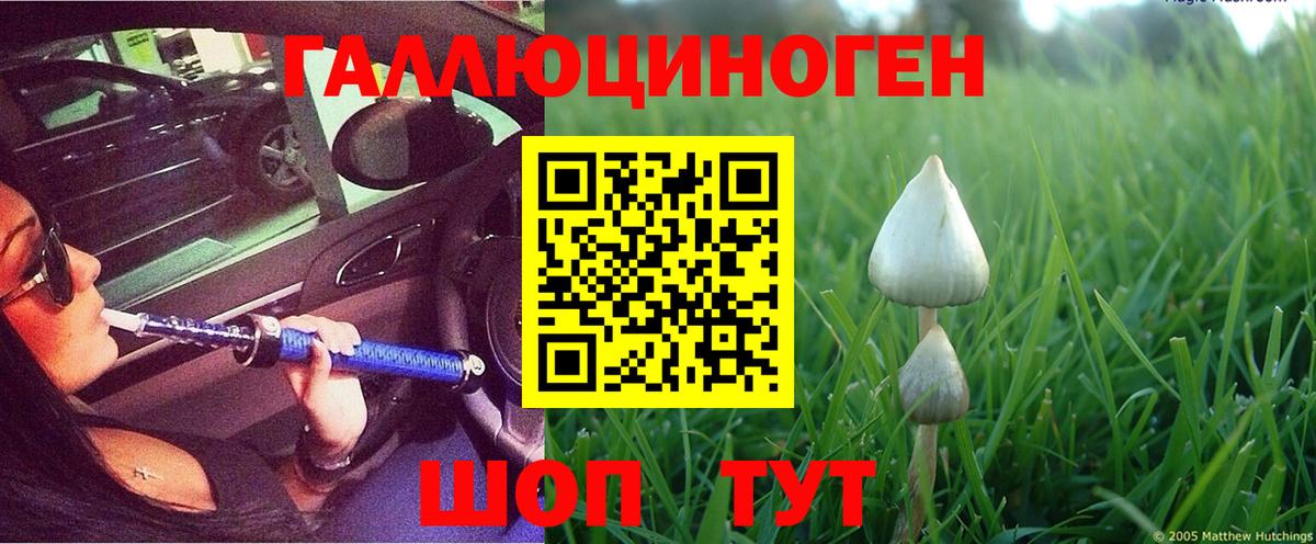 Псилоцибиновые грибы Cubensis Омск